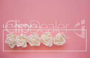 White roses loading bar on pink