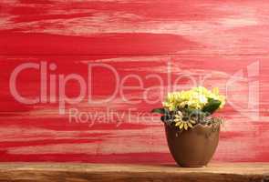 Yellow flowers on a red wooden background
