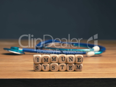 Small wooden blocks with the words immune system
