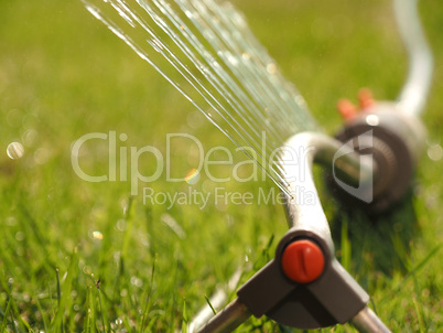 Close up of a lawn sprinkler, hot summer concept