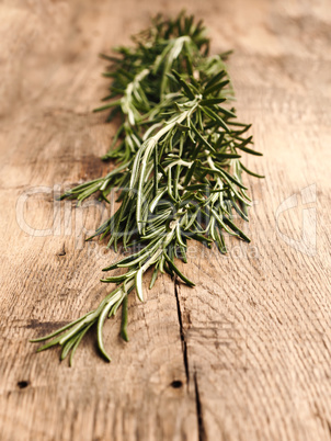 Organic rosemary on rustic wood