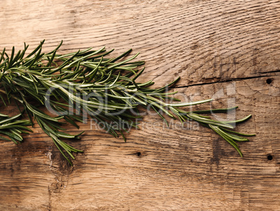 Organic rosemary on rustic wood