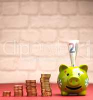 Smiling piggy bank with money