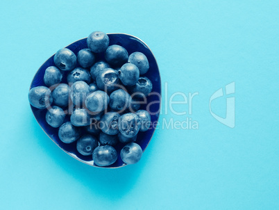 Tasty organic blueberries on a blue paper background
