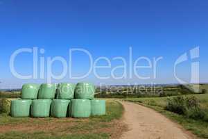 Hay bales packed in white plastic in Germany