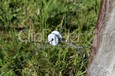 close up of a electrical wire fence around a pasture
