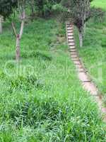 Trail with staircase in the woods.