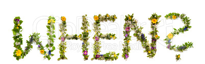 Flower And Blossom Letter Building Word When