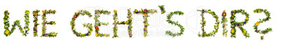 Flower And Blossom Letter Building Word Wie Gehts Dir Means How Are You
