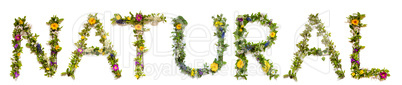 Flower And Blossom Letter Building Word Natural