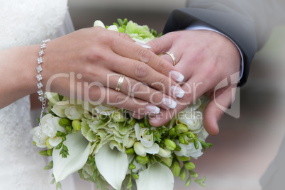 The hands of a newlyweds with the wedding rings