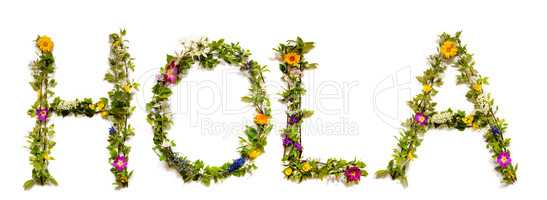 Flower And Blossom Letter Building Word Hola Means Hello