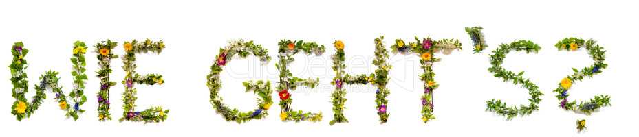 Flower And Blossom Letter Building Word Wie Gehts Means How Are You