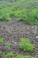 Stone landslide under spring rain, vertical orientation