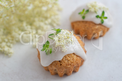 holunderblüten zitronen muffins