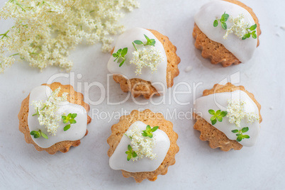 holunderblüten zitronen muffins