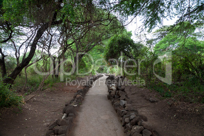 Path in Mzima Springs, scenery of a oasis in Kenya