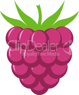 Raspberry with leaf vector icon