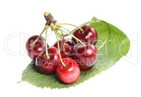 A bunch of ripe cherries