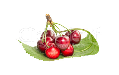 A bunch of ripe cherries