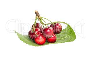 A bunch of ripe cherries