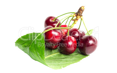 A bunch of ripe cherries