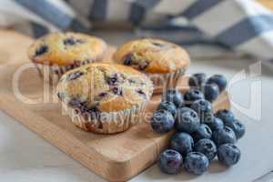 Heidelbeer Muffins