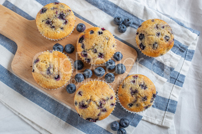 Heidelbeer Muffins