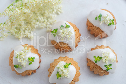 holunderblüten zitronen muffins