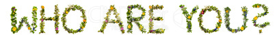 Flower And Blossom Letter Building Word Who Are You
