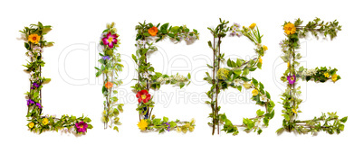 Flower And Blossom Letter Building Word Liebe Means Love