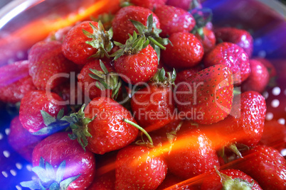 Frische Erdbeeren