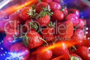 Frische Erdbeeren