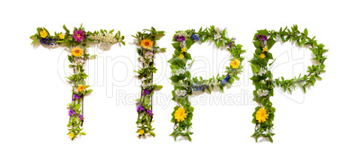 Flower And Blossom Letter Building Word Tipp Means Tip