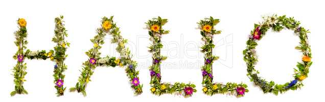 Flower And Blossom Letter Building Word Hallo Means Hello