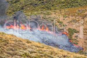 Dry Brush Wild Fire Spreading Quickly