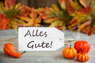 Label, Alles Gute Means Best Wishes, Pumpkin And Leaves