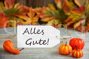 Label, Alles Gute Means Best Wishes, Pumpkin And Leaves