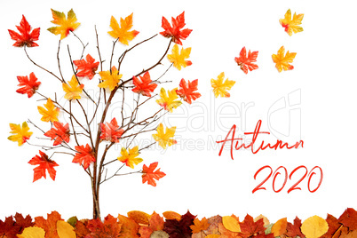Tree With Colorful Leaf Decoration, Leaves Flying Away, Text Autumn 2020