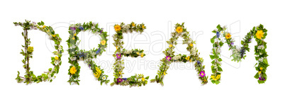 Flower And Blossom Letter Building Word Dream