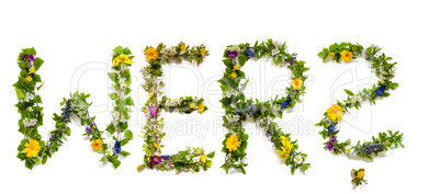Flower And Blossom Letter Building Word Wer Means Who