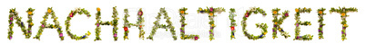 Flower And Blossom Letter Building Word Nachhaltigkeit Means Sustainability