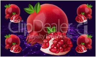 realistic pomegranate fruit on abstract background