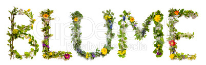 Flower And Blossom Letter Building Word Blume Means Flower