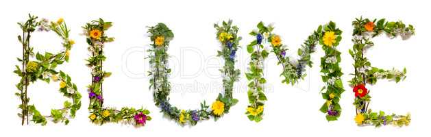Flower And Blossom Letter Building Word Blume Means Flower