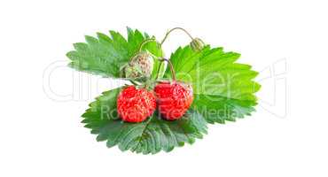 Ripe strawberries