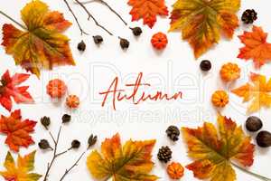 Bright Colorful Autumn Leaf Decoration, English Text Autumn