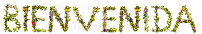Flower And Blossom Letter Building Word Bienvenida Means Welcome