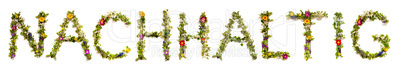 Flower And Blossom Letter Building Word Nachhaltig Means Sustainable