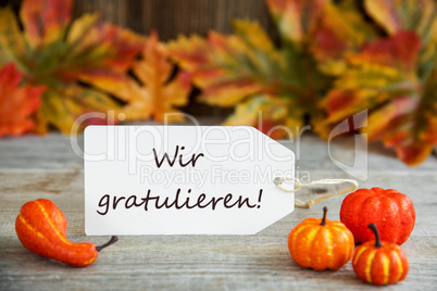 Label, Wir Gratulieren Means Congratulations, Pumpkin And Leaves
